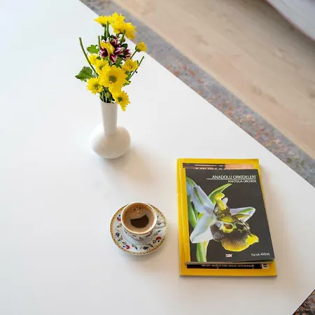 Διαμέρισμα City Aparts *